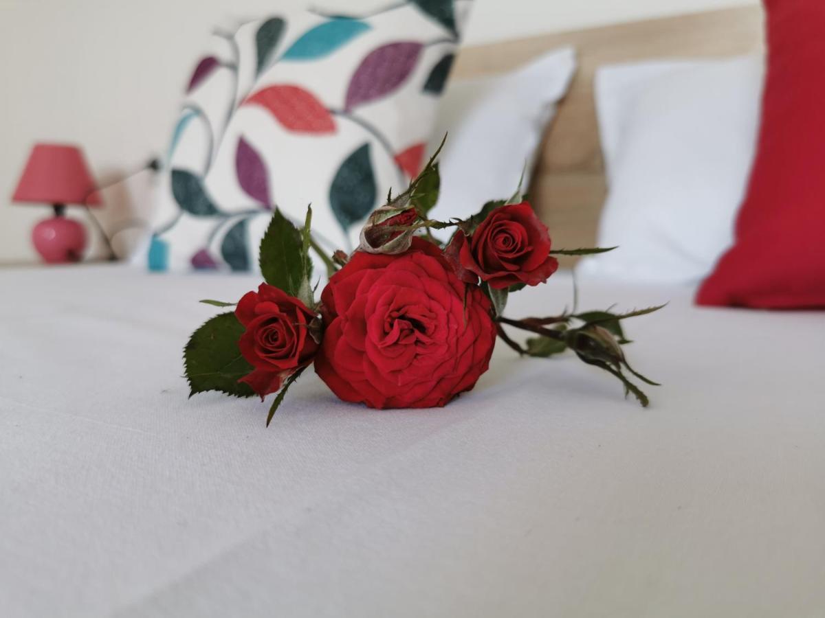 Casa Del Mar Hotel Приморско Екстериор снимка